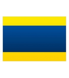 Signal "D" Flag