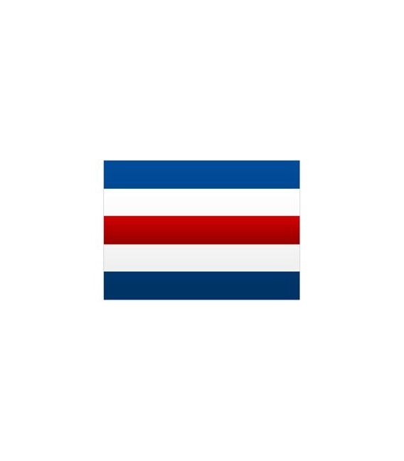 Signal "C" Flag