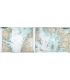 CBM119 Inshore - Middle Chesapeake Bay