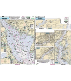 DEL117 Inshore - Delaware Bay (2018)