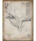 14-00-1851: AL, 1851, Entrance To Mobile Bay