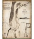 CP264C: CA, 1852, Nautical Chart of Humboldt Bay