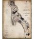 CP2278C: CA, 1894, Navigation Chart of San Diego Bay