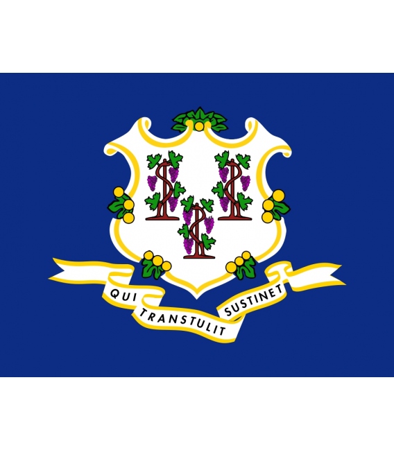 Connecticut State Flag