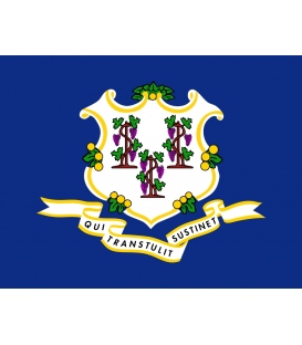 Connecticut State Flag