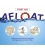 First Aid Afloat: Instructional Guide for Handling Emergencies the Correct Way