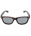 Fultons - Glossy Slates: Glossy Tortoise / Mirrored Smoke Polarized