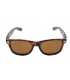 Fultons - Glossy Relics: Glossy Tortoise / Amber Polarized