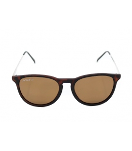 Porters - Fossils: Tortoise/Amber Polarized
