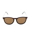 Porters - Fossils: Tortoise/Amber Polarized