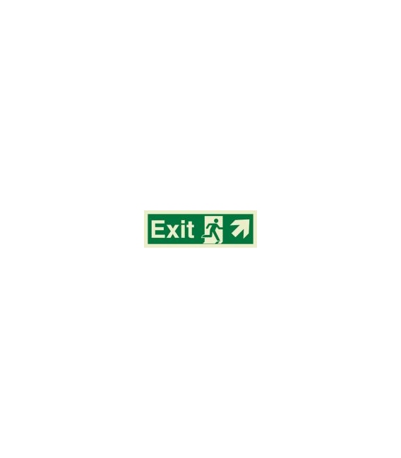 4362 Exit + Running man symbol + arrow diagonally up right