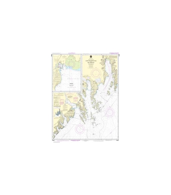 NOAA Chart 16682 Cape Resurrection to Two Arm Bay - Seaward