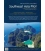 Southeast Asia Pilot, 7th Edition, 2024