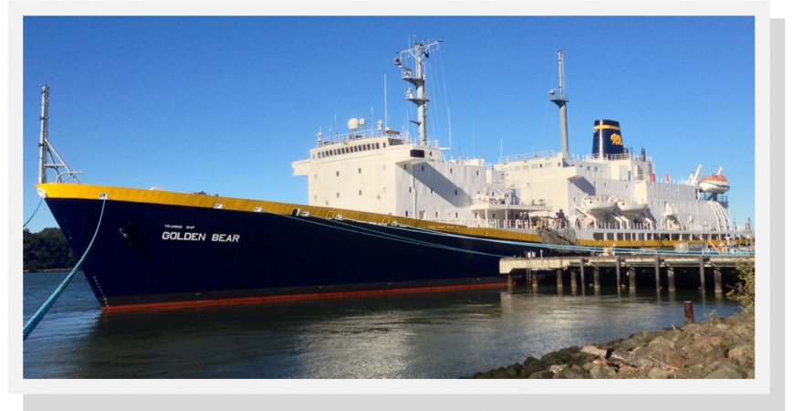 T/S GOLDEN BEAR