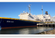 T/S GOLDEN BEAR